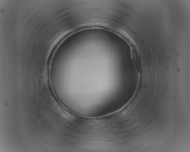 X0000073711076200608171132