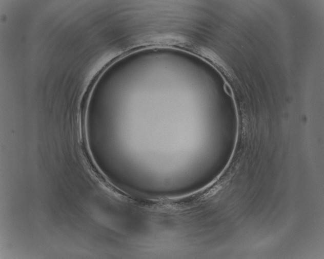 X0000073711079200608171132