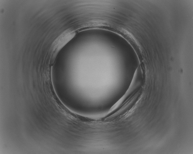 X0000073711081200608171132