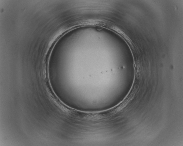 X0000073711083200608171132