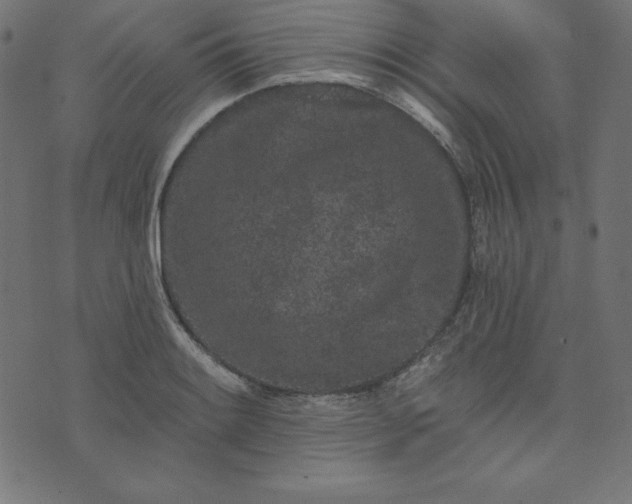 X0000073711084200608171132