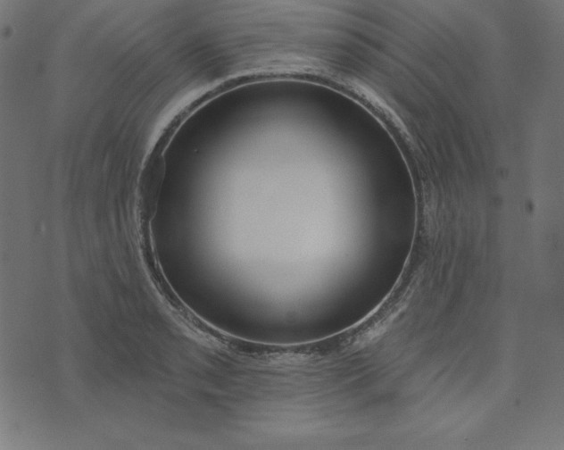 X0000073711085200608171132