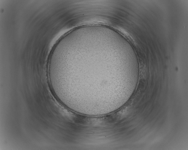 X0000073711086200608171132