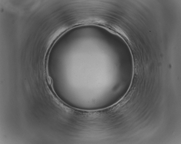 X0000073711087200608171132