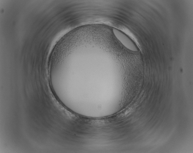 X0000073711088200608171132