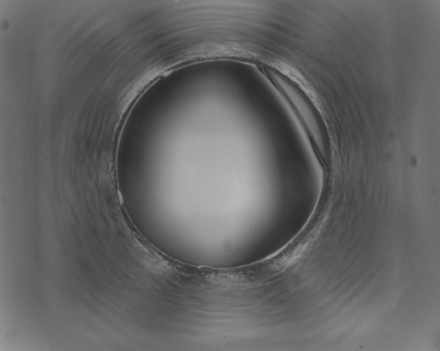 X0000073711089200608171132