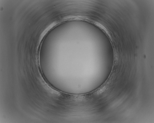 X0000073711090200608171132