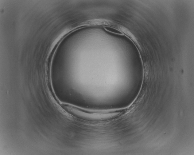 X0000073711091200608171132