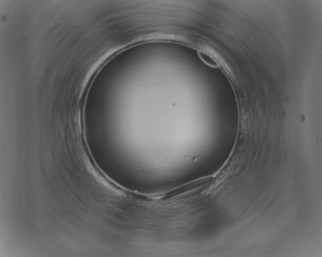 X0000073711092200608171132