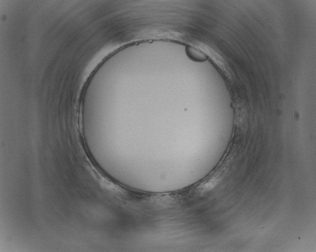 X0000073711094200608171132