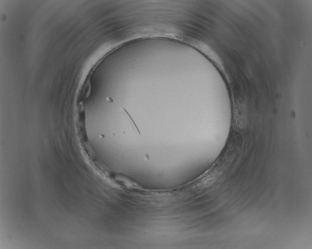 X0000073711096200608171132