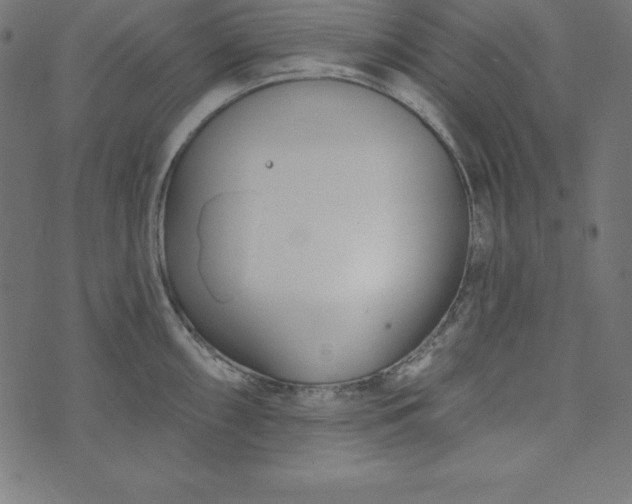 X0000073711098200608171132