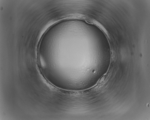 X0000073711099200608171132