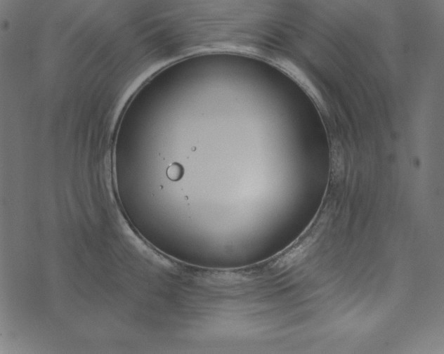 X0000073711100200608171132