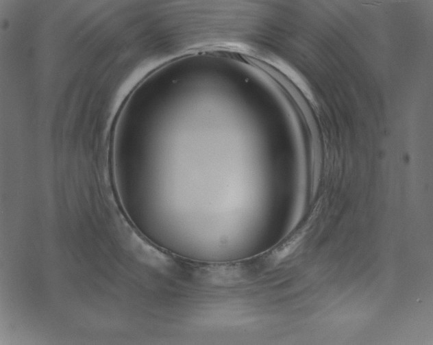 X0000073711102200608171132