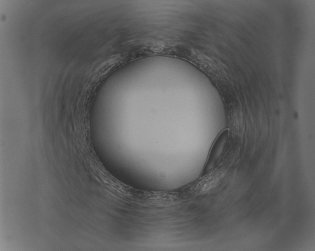 X0000073711105200608171131