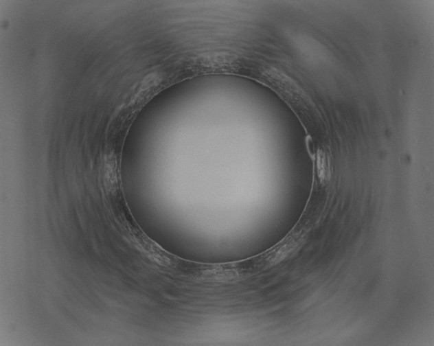 X0000073711107200608171131