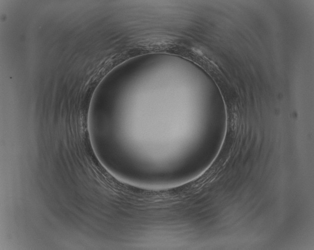 X0000073711108200608171131