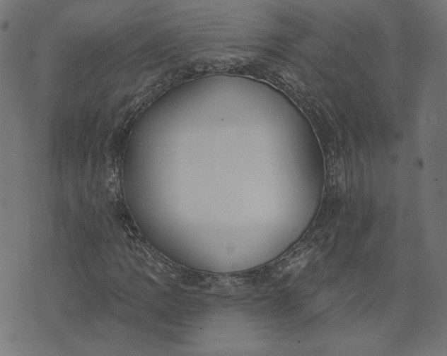 X0000073711109200608171131