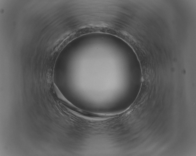 X0000073711110200608171131