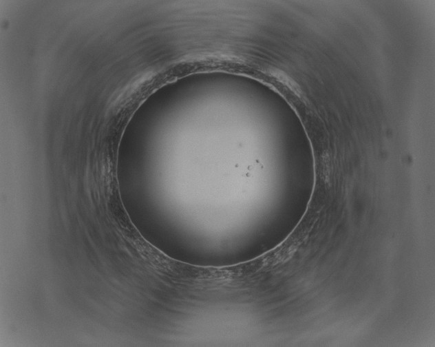 X0000073711111200608171131