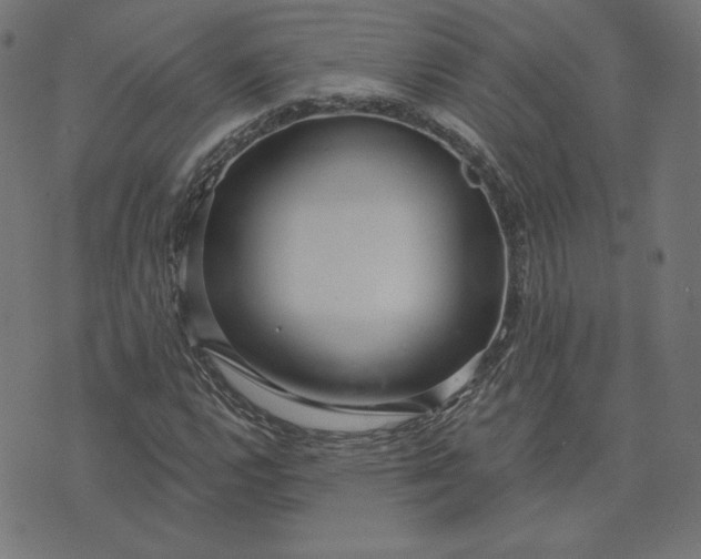 X0000073711112200608171131