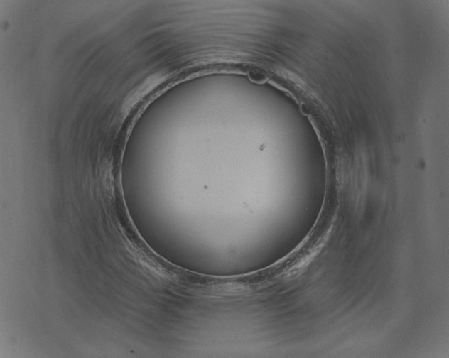 X0000073711113200608171131