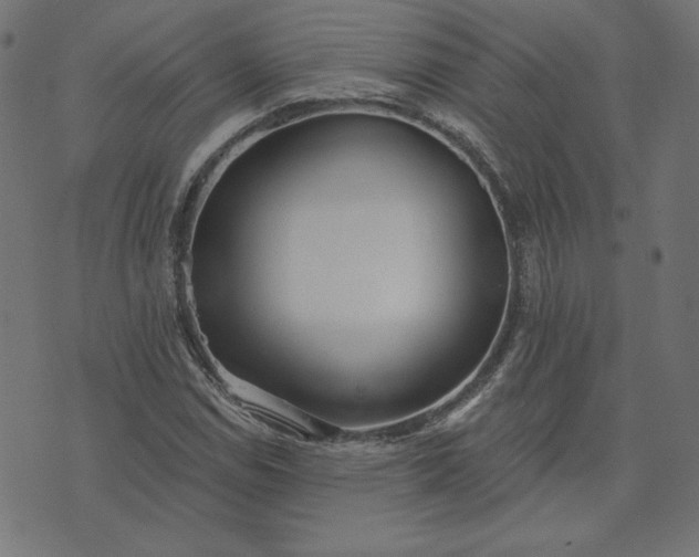 X0000073711114200608171131