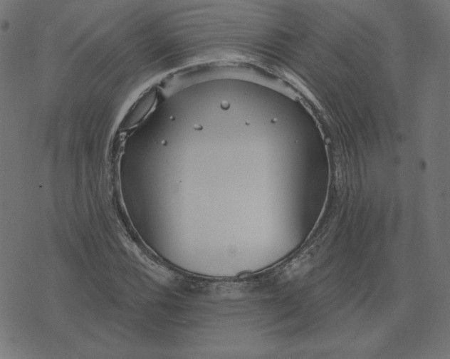 X0000073711116200608171131