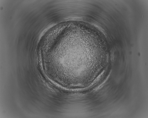 X0000073711117200608171131