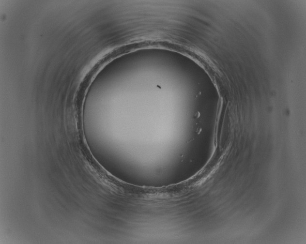 X0000073711118200608171131