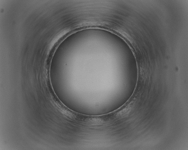 X0000073711119200608171131