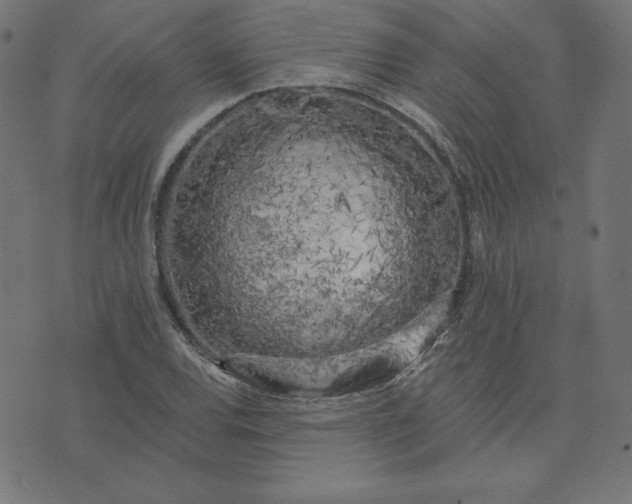 X0000073711120200608171131