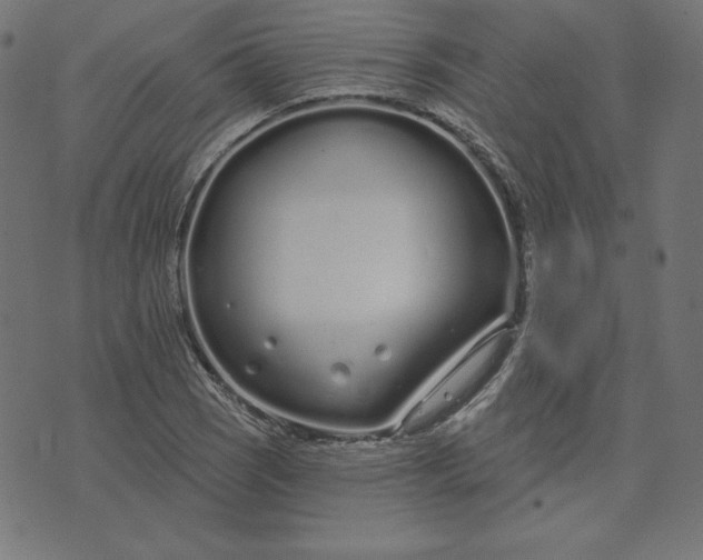 X0000073711121200608171131