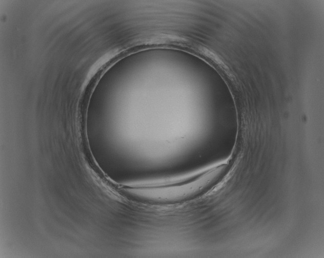 X0000073711122200608171131