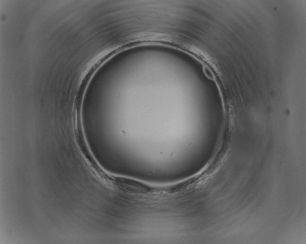 X0000073711125200608171131