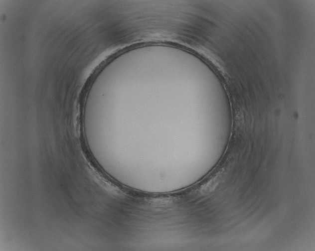 X0000073711126200608171131