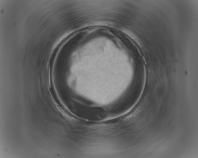 X0000073711127200608171131