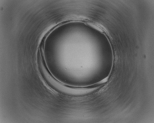 X0000073711128200608171131