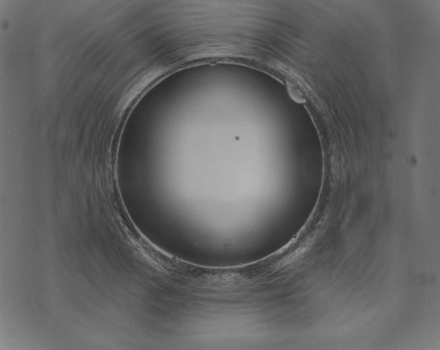 X0000073711129200608171131