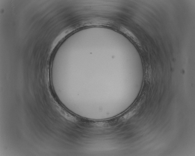 X0000073711130200608171131