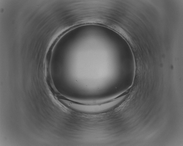 X0000073711132200608171131