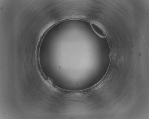 X0000073711135200608171131