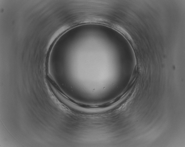 X0000073711138200608171131