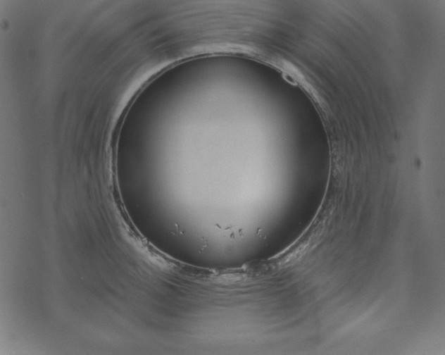 X0000073711140200608171131