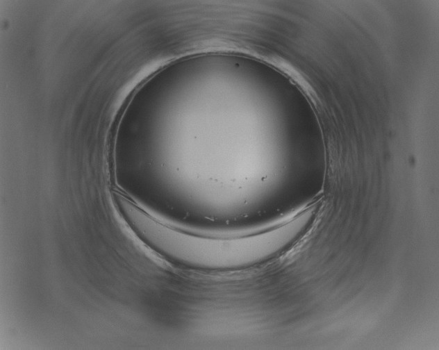 X0000073711142200608171131