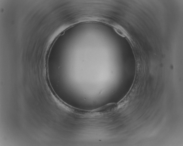 X0000073711143200608171131