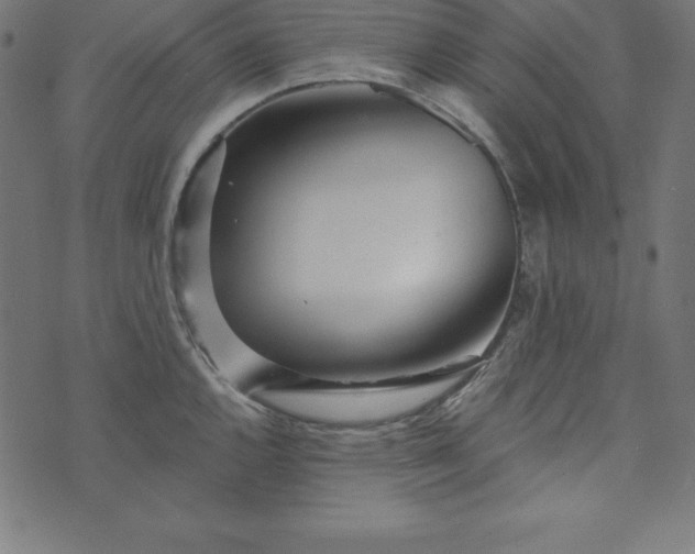 X0000073711144200608171132