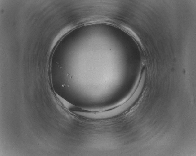 X0000073711146200608171132