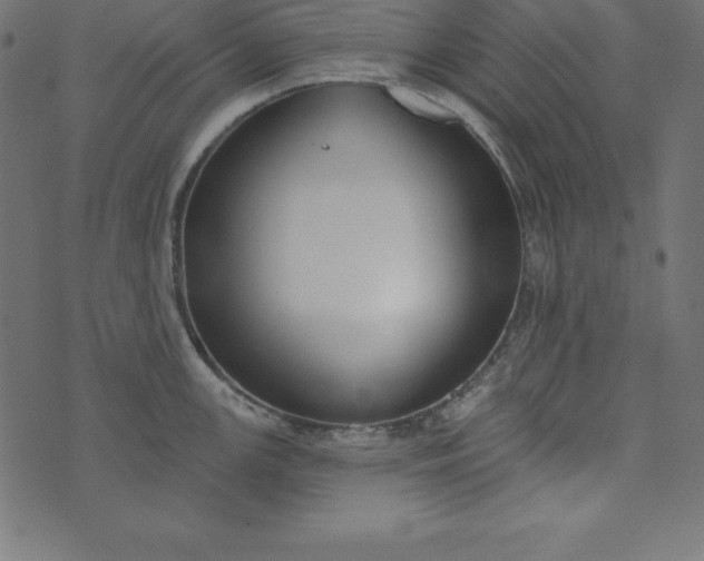 X0000073711147200608171132